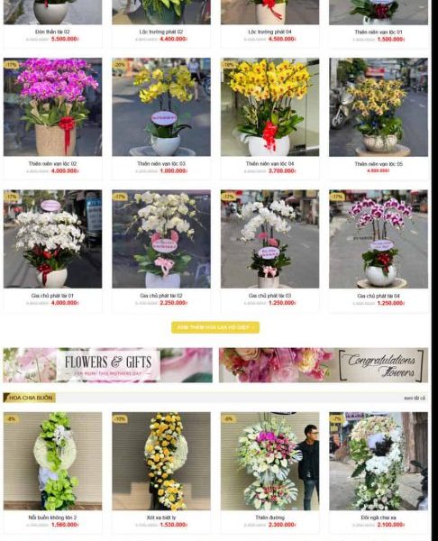 Theme wordpress shop hoa 1