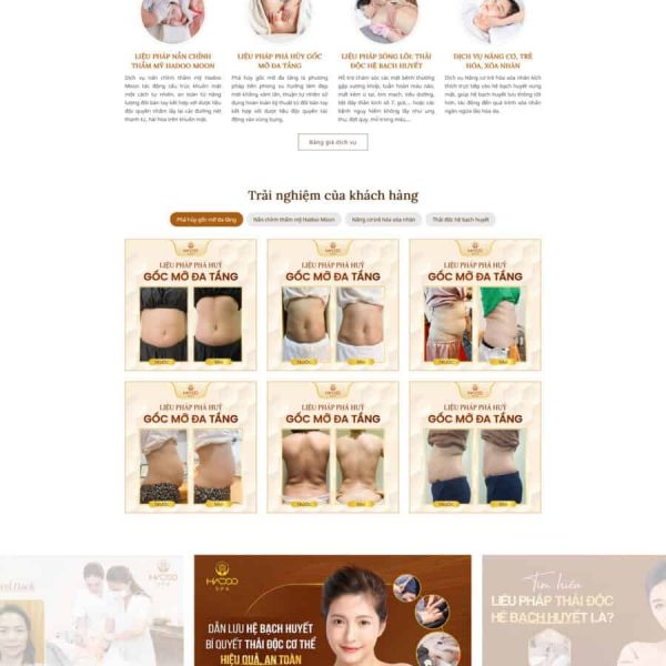 Theme wordpress spa 10